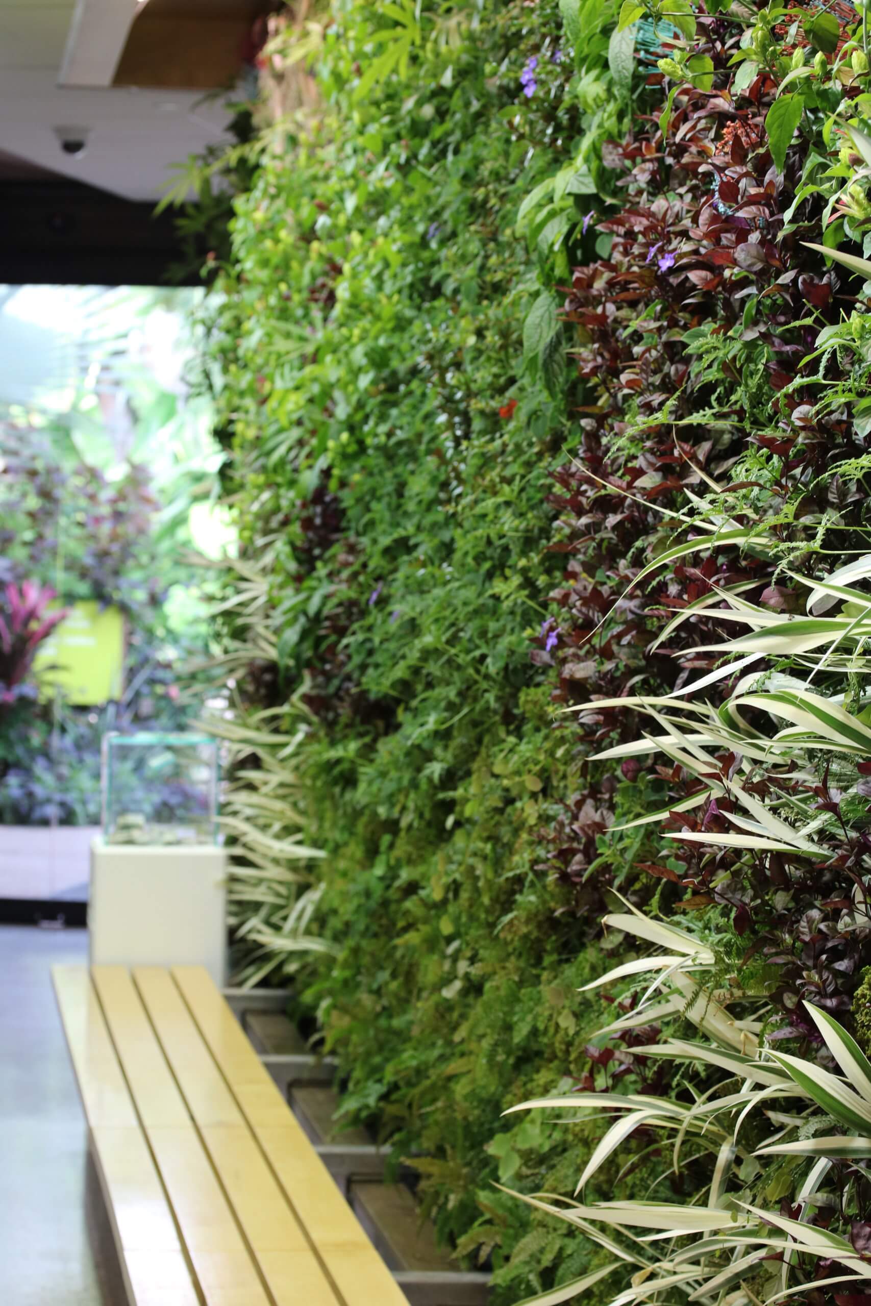 Vertical Gardening With Herbs And Greens Greater Des Moines